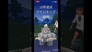 アクジキング鋼鋼#ポケモンgo #goバトルリーグ