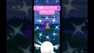 色違いシャドウラティアス❣️ #ポケモンgo #ポケモン #pokemongo #pokemon