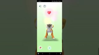 正港好夥伴異色雷公 #pokemongo #寶可夢 #ポケモンgo #ライコウ #raikou #色違い #shinypokemon #最高の相棒 #BestBuddy
