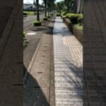 ニンフィアのポケふたに行ってみた！！　#shorts