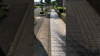 ニンフィアのポケふたに行ってみた！！　#shorts