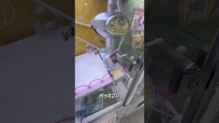 #クレーンゲーム #ゲームセンター #ゲーセン #ポケモンカード #ポケモン