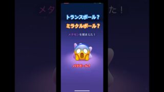 トランスボール？メタモンに変身させてみた🫣