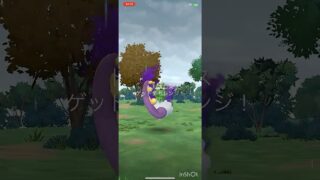 vsサカキ#ポケモンgo #ポケモンgo好きと繋がりたい #ポケモン