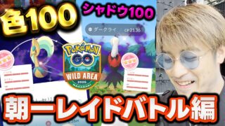 【ワイルドエリア】朝一レイドで100%大量ぅぅぅ！？初日から飛ばしてくぜ！【ポケモンGO】