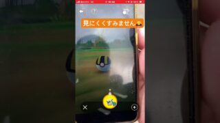 今月の撮影した色違い17匹目❤️今年324匹目（コミュデイ除く）、記念、記録動画🎥【ポケモンGO】#shorts #pokemon #shiny