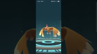 2025年11月29日 #pokemongo #ポケモンgo #ポケモン #評価MAX#キラポケモン#進化