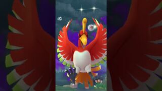 Catching shiny hoho in Pokemon go #charizard #pokemon