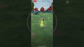 #ポケモンGO チコリータ色違い