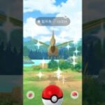 ポケモンGO ｜#127｜無課金｜ Pokémon GO