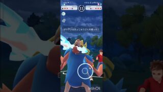 ポケモンGOバトルリーグ　メガマスターリーグ 3