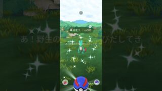 色違い　キモリ　ポケモンGO