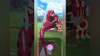 【ポケモンGO】メガギャラドス×アシレーヌが強すぎる！【マスターリーグ】【バトルリーグ】#shorts #ポケモンgo #goバトルリーグ #gbl #マスターリーグ #pokemongo