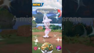 Let’s Go✨️Shiny Mighty Hatterene in Pokemon GO