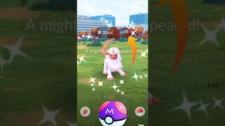 ✨️Mighty Shiny Absol caught in Go Wild Area… #pokemongo #shorts #pokemon