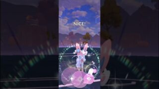 《Pokémon Go》一只仙子伊布VS 克里夫 幼基拉斯 棄世猴  怪力  Sylveon VS Cliff Larvitar,Annihilape and Machamp