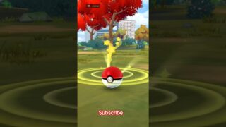 Pokemon go Pokemon coin #pokemon #shorts #shortvideo #youtubeshorts #viral #trending #subscribe