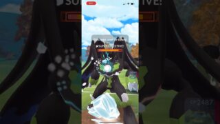 Shadow Feraligator nearly one shots the cheat code Zygarde
