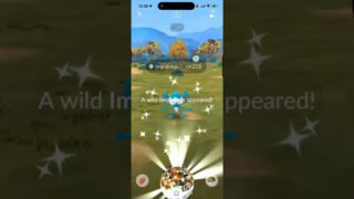 ✨Shiny Impidimp CAUGHT In Pokemon Go!✨#shorts #pokemon