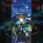 White Kyurem one shots Zygarde