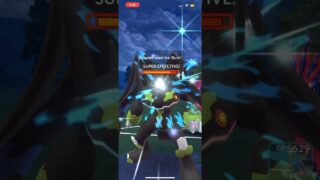 White Kyurem one shots Zygarde