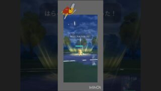 初手でモルペコ使っていく！#ポケモンgo #ポケモン #gbl #ジャングルカップ