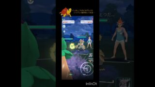 ブレイブバードをぶっ放せ!!#ポケモンgo #ポケモン #gbl #ハイパーリーグ