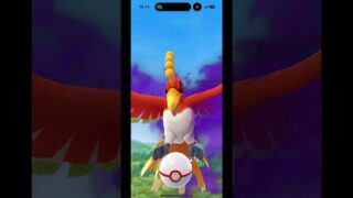 シャドウホウオウやった！ #ポケモンgo初心者 #ポケモンgo好きと繋がりたい #シャドウホウオウ