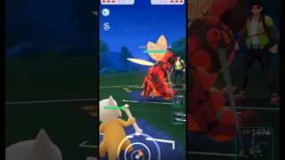 marowak in great league entry let’s play Pokemon go #viralshorts #shorts @wyperrex2