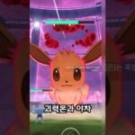 다이맥스 이브이 챌린지 #포켓몬고 #pokemongo #거다이맥스