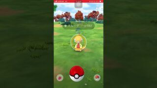 おはようございます！仕事終わりに最寄り駅までの間ポケモン少しだけ捕まえました！