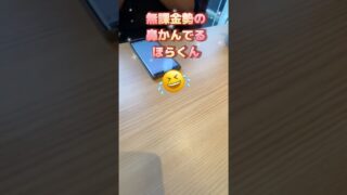 無課金勢の鼻かんでるフレンドさんと特別交換してみた🫣