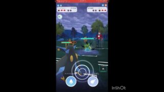 裏のトリトドンは重い…💦