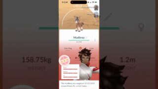 💯100 IV MUDBRAY CAUGHT In Pokemon Go!💯 #shorts #pokemon