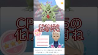 つよいポケモン💪バンギラス個体値100％強化PL50🔥#ポケモンgo #pokemongo #pokemongoshorts