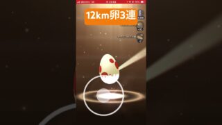 無課金族は必死の12km卵3連‼︎【ポケモンGO】#shorts #ポケモン #pokemon