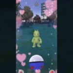 コミュデイ総まとめ2日間色違いまとめ！