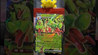 フルコンプ通販オリパを開封するよ。2025 12 15 #ポケモンカード #ポケカ