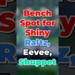 Bench Spot for Shiny Raltz, Eevee, and Shuppet!