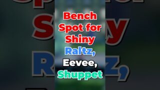 Bench Spot for Shiny Raltz, Eevee, and Shuppet!