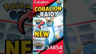 Cobalion Pokemon Go Raid #shorts #pokemongo #cobalion #pokemonraid