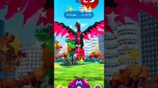 Finally ✨Daily incense Legendary Bird✨Galarian Moltres in pokemon go #pokemon