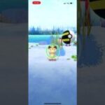 #ポケモンGO ニャース色違い