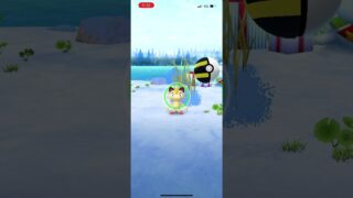 #ポケモンGO ニャース色違い