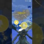 ポケモンGO 通常マスターリーグ 色ミュウツー、ホウオウ、ゼクロム
