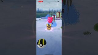 #ポケモンGO デデンネ色違い
