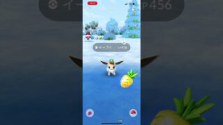 #ポケモンGO イーブイ色違い