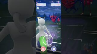 ポケモンGO 通常マスターリーグ 色ミュウツー、ゼクロム、ホウオウ