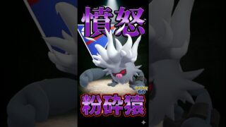 新シーズン追い風!? コノヨザルが話題!【ポケモンGO】【ポケットモンスター】