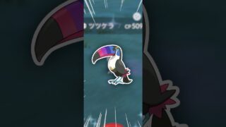 珍しいドデカバシを、手に入れました！【ポケモンGO】